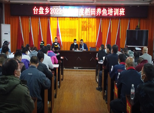 2022年5月11日，香港和宝典资料大全2在台江县台盘乡开展高密度稻田养鱼培训活动，向村民讲解了渔种放养、投饲、稻病防治和鱼病防治等养殖知识，助力台盘乡村民脱贫致富。