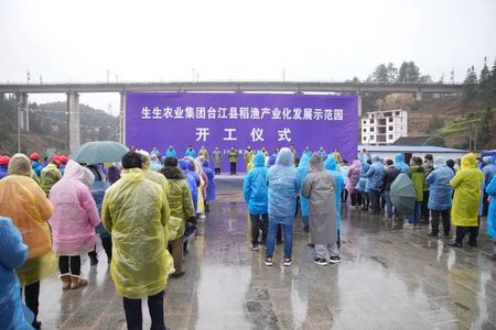 香港和宝典资料大全2