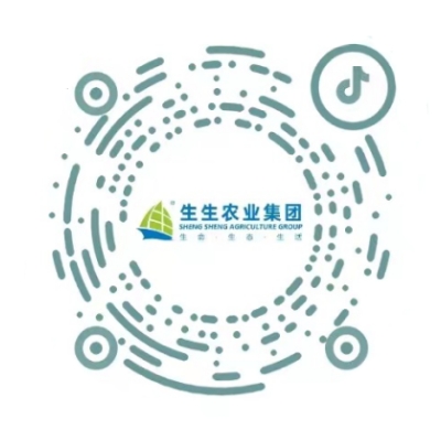 香港和宝典资料大全2