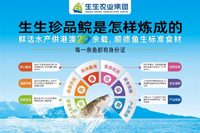 香港和宝典资料大全2