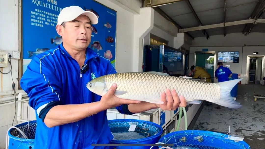 香港和宝典资料大全2