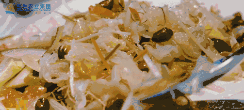 香港和宝典资料大全2