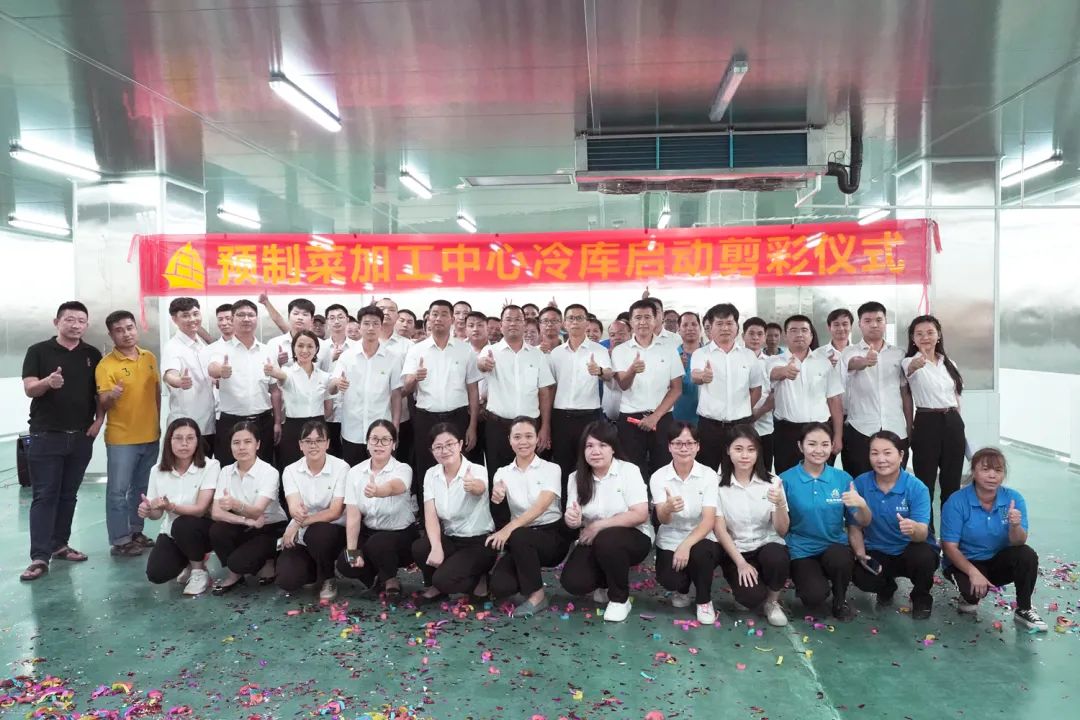 香港和宝典资料大全2