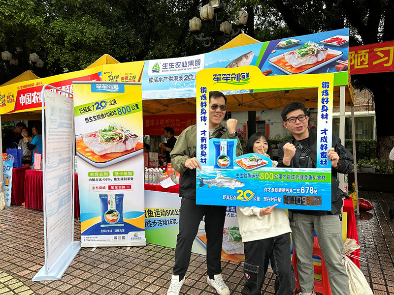 香港和宝典资料大全2