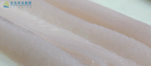 香港和宝典资料大全2