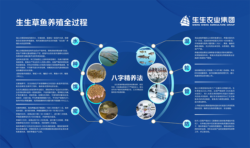 香港和宝典资料大全2