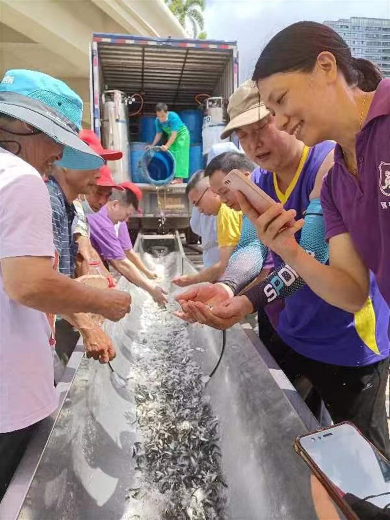 香港和宝典资料大全2