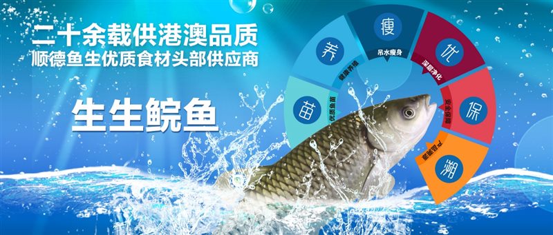 香港和宝典资料大全2