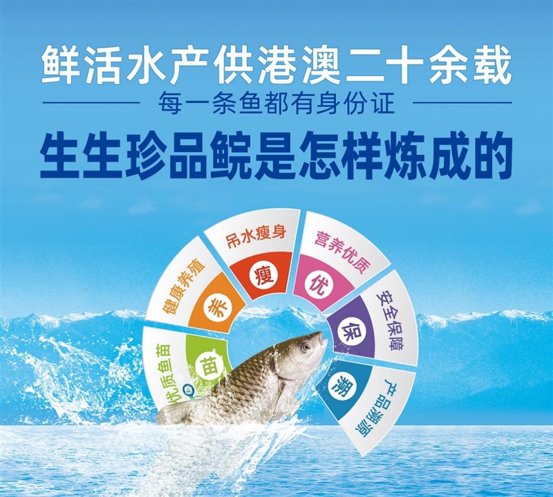 香港和宝典资料大全2