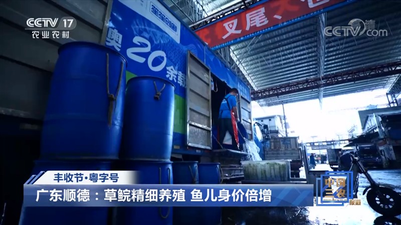 香港和宝典资料大全2