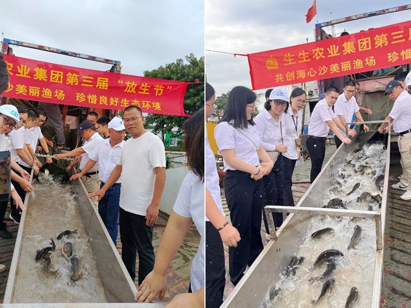 香港和宝典资料大全2
