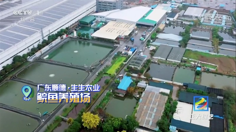 香港和宝典资料大全2