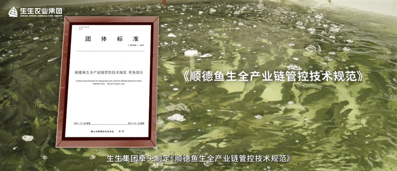 香港和宝典资料大全2