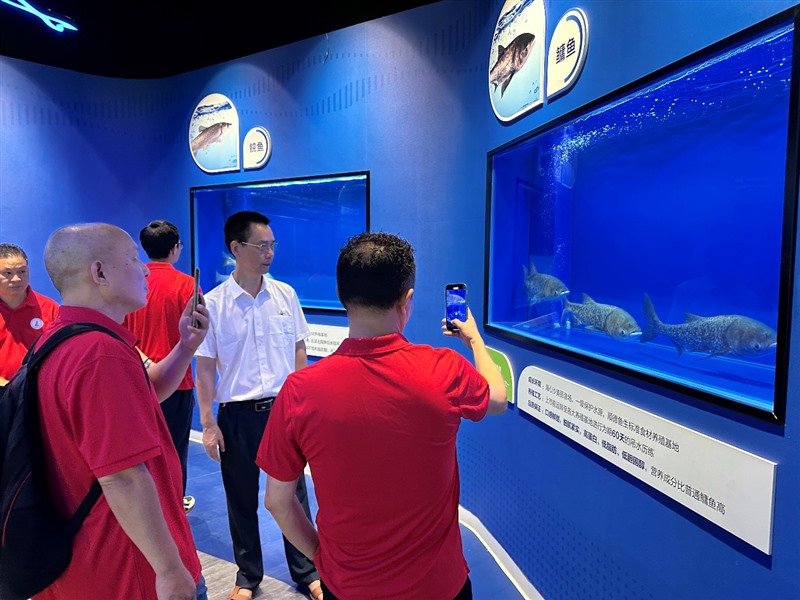香港和宝典资料大全2