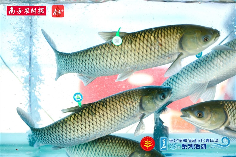 香港和宝典资料大全2